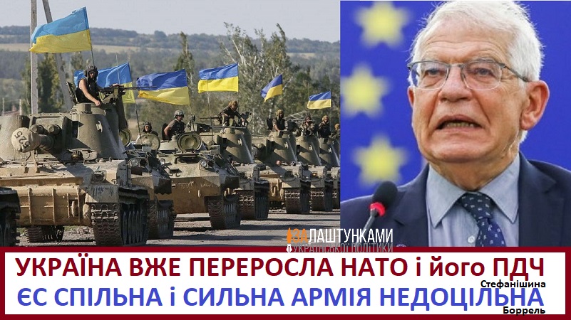 Україна вже переосла НАТО і його ПДЧ – Стефанішена ліберасту Боррелю